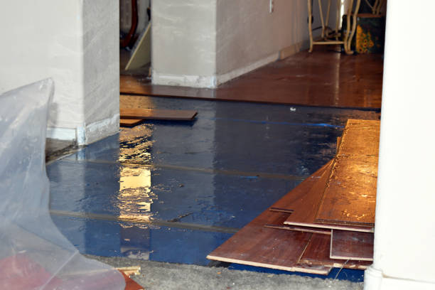 Professional Flood Cleanup technician working in South Bethlehem, NY